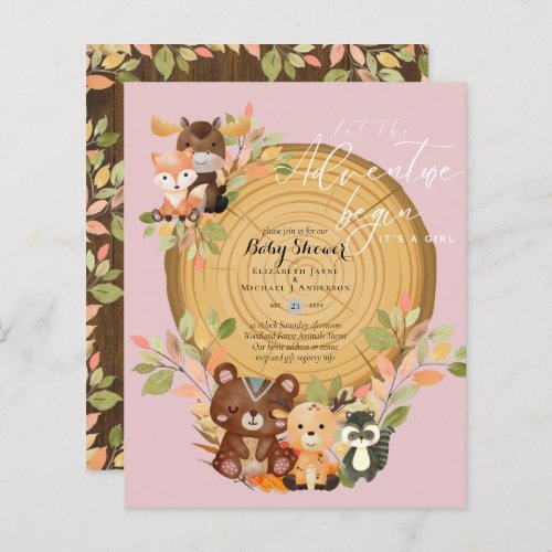 BUDGET Its A Girl WOODLAND ANIMALS Baby Shower    