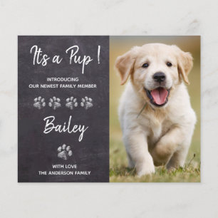 Budget It's a Pup New Pet Puppy Dog Announcement