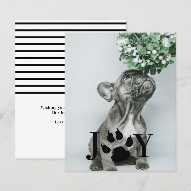 BUDGET Joy Dog Paw Print Christmas Photo Card (Front/Back)