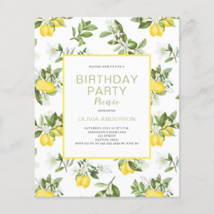 Budget Lemon Citrus Birthday Picnic Invitation