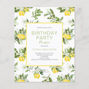 Budget Lemon Citrus Birthday Picnic Invitation Flyer