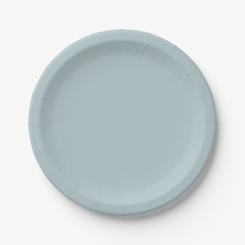 BUDGET Light Sage Green Monochrome Wedding Paper Plates