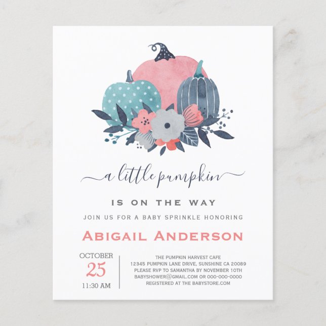 Budget Little Pumpkin Baby Sprinkle Invitation  Flyer (Front)
