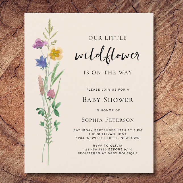 Budget Little Wildflower Baby Shower (Creator Uploaded)