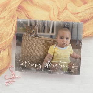 Budget Meowy Christmas Cat Christmas Holiday Photo