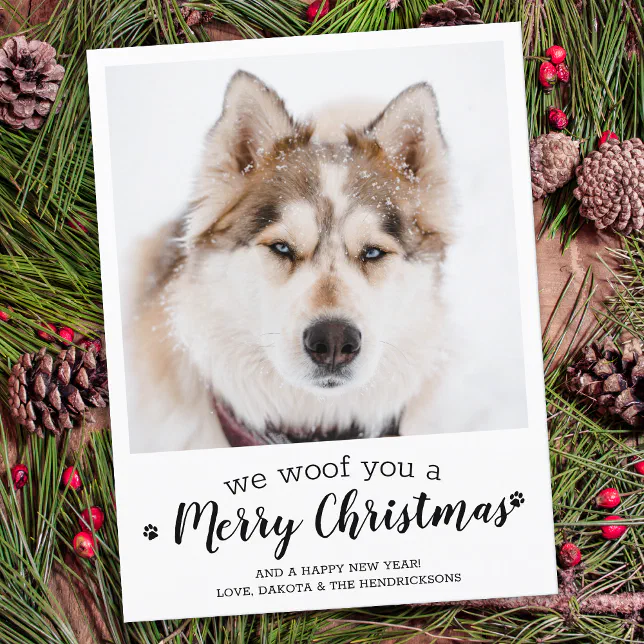 Budget Merry Christmas Dog Modern Pet Photo Note Card | Zazzle