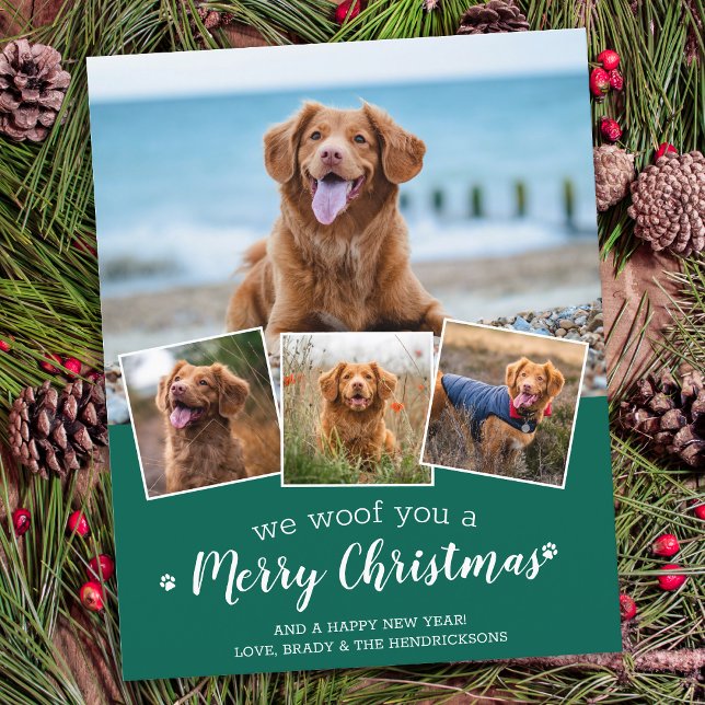 Budget Merry Christmas Dog Pet Photo Holiday Card  (Creator Uploaded)