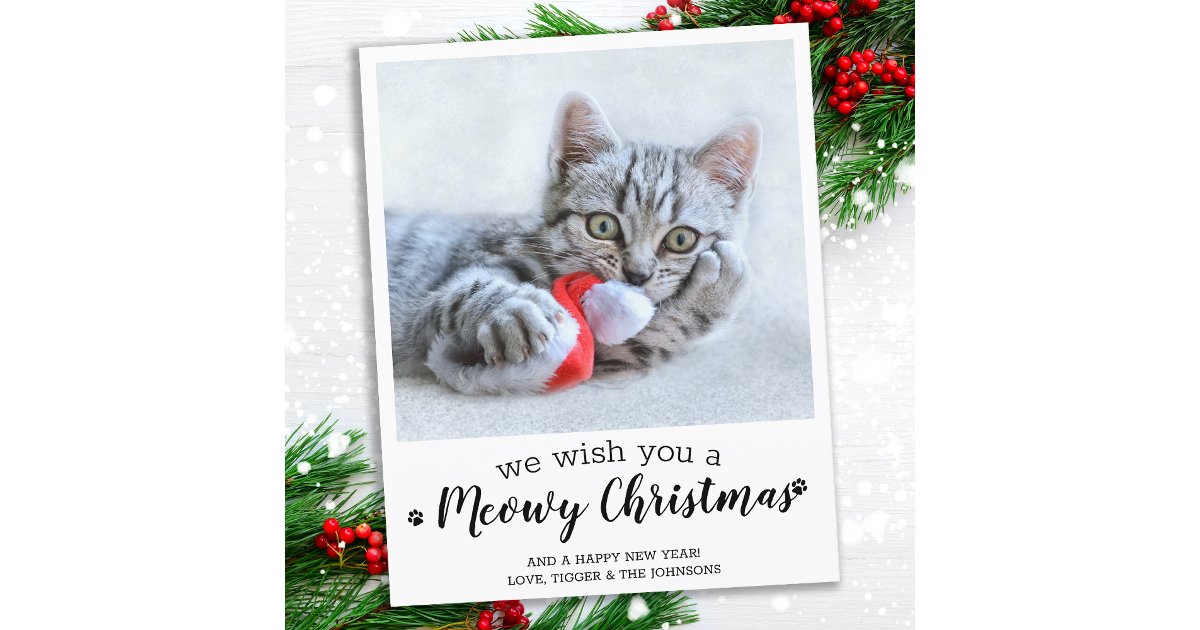 Budget Merry Christmas From The Cat Pet Photo Card | Zazzle
