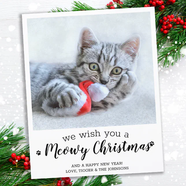Budget Merry Christmas From The Cat Pet Photo Card | Zazzle