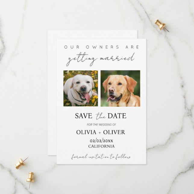 Budget, minimalist, cute Custom dog photo Save The Date (Front/Back In Situ)