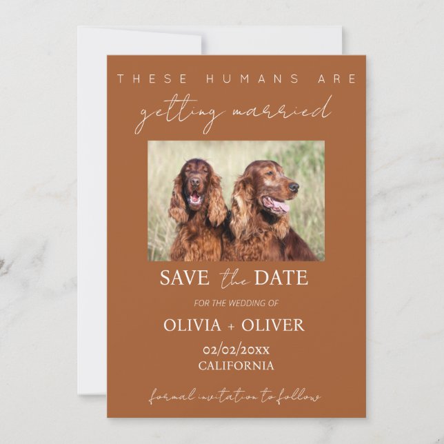 Budget, minimalist, terracotta Custom dog photo Save The Date (Front)