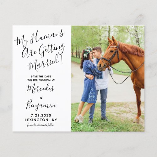 Budget Modern Photo Equine Wedding Save The Date 