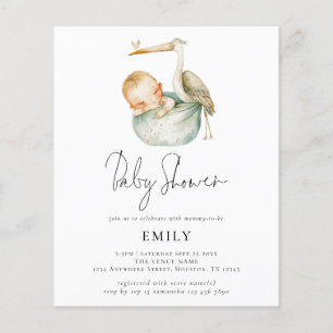 Budget Modern Script Cute Stork and Baby Shower
