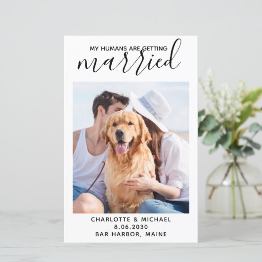 Budget My Humans Are Getting Married Pet Photo (Standing Front)