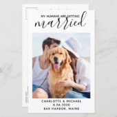 Budget My Humans Are Getting Married Pet Photo (Front/Back)