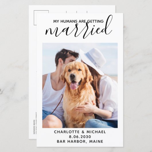 Budget My Humans Are Getting Married Pet Photo (Front/Back)