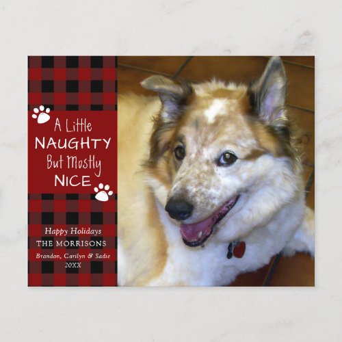 Budget Naughty or Nice Dog Photo Greeting Card