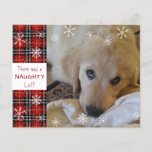 Budget Naughty or Nice Photo Funny Holiday Card