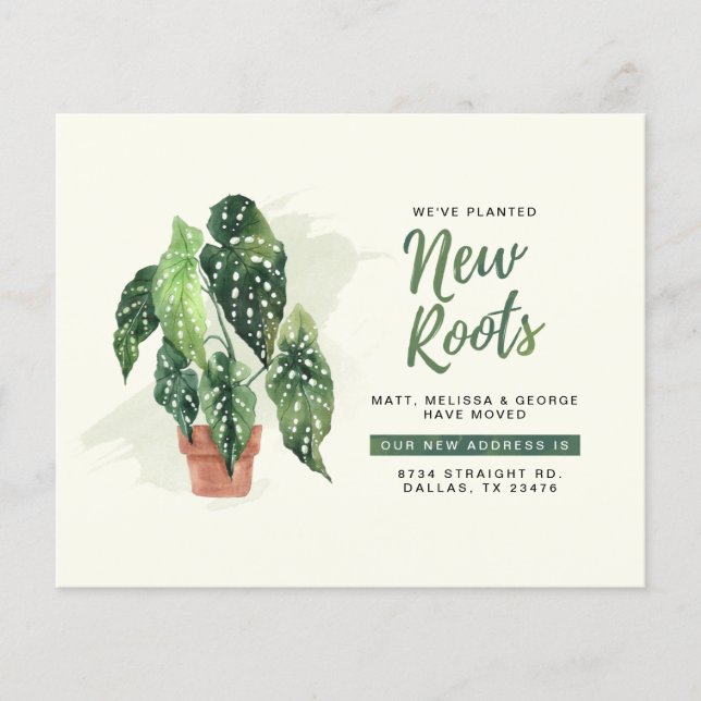 Budget New Address Moving Announcement (Front)