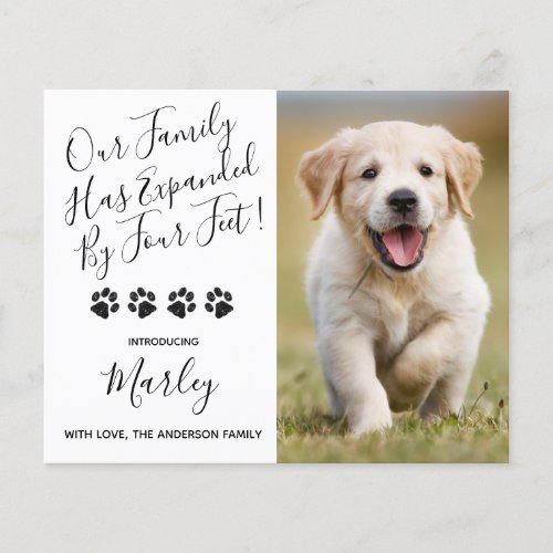 Budget New Pet Expanded by Four Feet Puppy Dog - Our Family Has Expanded By Four Feet ! Introduce your new little pup with this simple yet elegant black and silver glitter paw print design announcement card for new dog's, and puppies. These budget new pet announcement postcards need to be mailed as oversized postcards so may incur standard postage fees but they don't need an envelope or a return address label.
Add your pup's favorite photo and personalize with pups name and family name ! Type your personal message to family and friends on the back or delete to handwrite.
Whether a new puppy or an adopted rescue dog, this new pet announcement design is perfect to send to family and friends to welcome a new family pet. COPYRIGHT © 2020 Judy Burrows, Black Dog Art - All Rights Reserved. 
Budget New Pet Expanded by Four Feet Puppy Dog