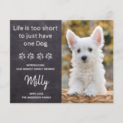 Budget New Pet New Puppy Announcement - Life is too short , to just have one dog ! Introduce your new little pup with this chalkboard simple rustic slate chalkboard and paw print design announcement card for new dog's, and puppies. These budget new pet announcement postcards need to be mailed as oversized postcards so may incur standard postage fees but they don't need an envelope or a return address label.
Add your pup's favorite photo and personalize with pups name and family name!  Type your personal message to family and friends on the back or delete to handwrite.
Whether a new puppy or an adopted rescue dog, this simple rustic chalkboard design is perfect to welcome a new family pet. COPYRIGHT © 2020 Judy Burrows, Black Dog Art - All Rights Reserved. 
Budget New Pet New Puppy Announcement 