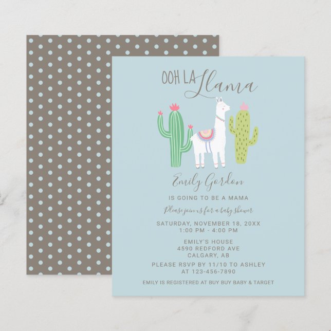 Budget Ooh La Llama Baby Shower cute blue & brown (Front/Back)
