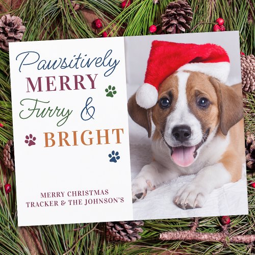 Budget Pawsitively Merry Custom Pet Photo Holiday 