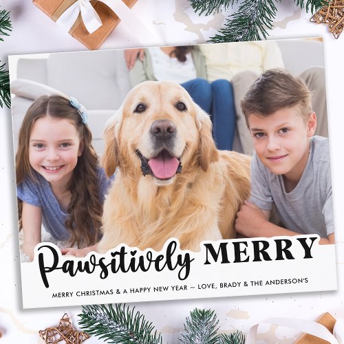 Budget Pawsitively Merry Modern Pet Photo Holiday