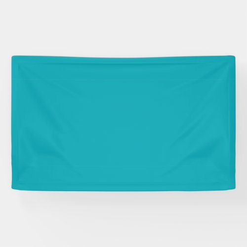 BUDGET Peacock Blue Teal Monochrome Wedding Banner