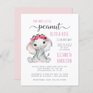 Budget Peanut Elephant Baby Girl Shower By Mail