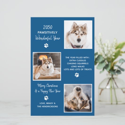 Budget Pet Dog Photo Cute Year in Review Holiday (Standing Front)