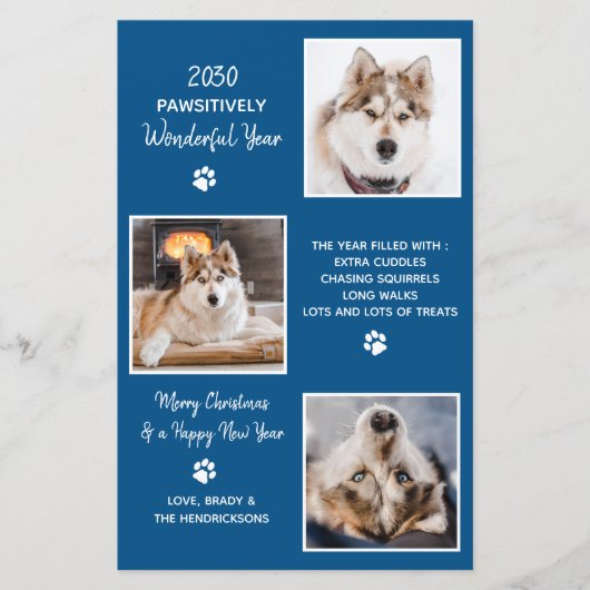 Budget Pet Dog Photo Cute Year in Review Holiday (Front)