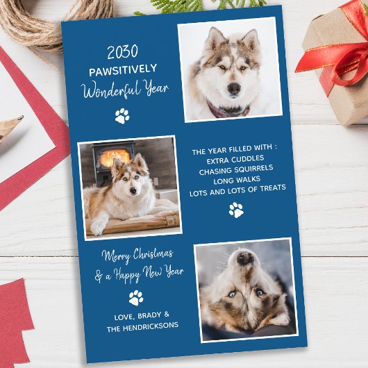 Budget Pet Dog Photo Cute Year in Review Holiday