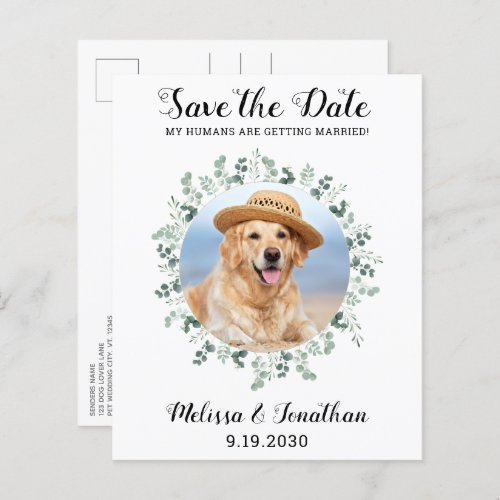 Budget Pet Dog Wedding Eucalyptus Save The Date