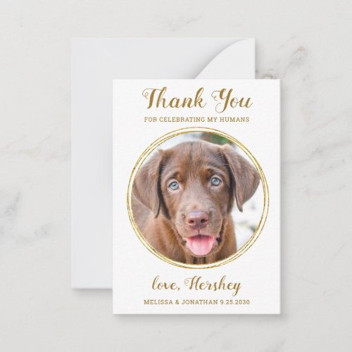 Budget Pet Photo Dog Wedding Chic Gold Thank You  Note Card