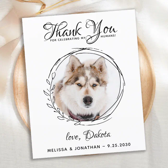 Budget Pet Photo Dog Wedding Thank You Cards | Zazzle