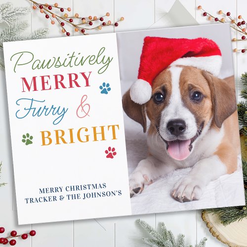 Budget Pet Photo Furry  Bright Dog Holiday Card