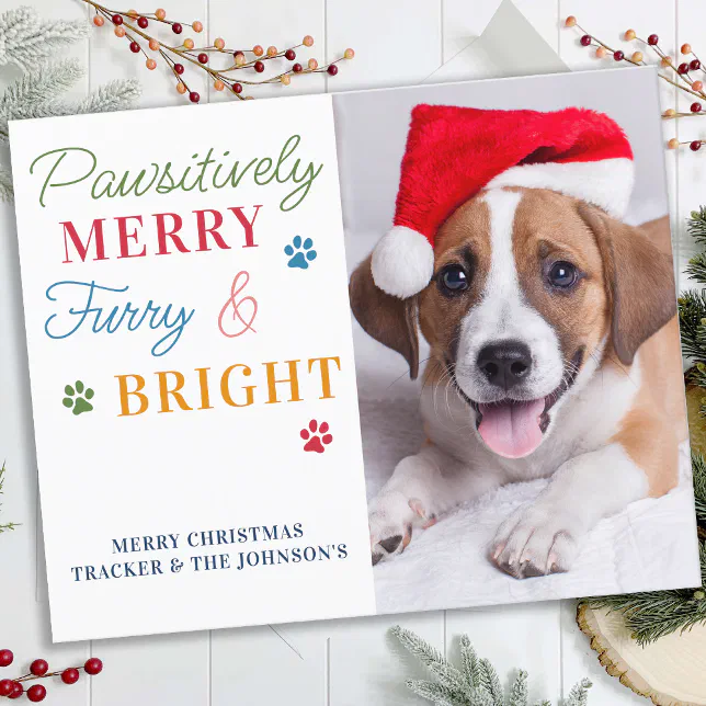 Budget Pet Photo Furry & Bright Dog Holiday Card | Zazzle