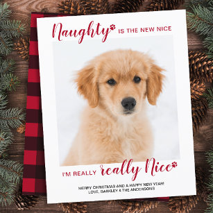 Budget Pet Photo Naught Nice Funny Holiday Card