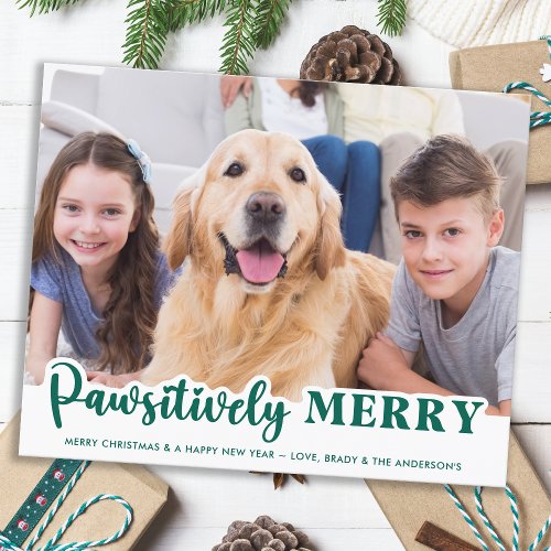 Budget Pet Photo Pawsitively Merry Dog Holiday