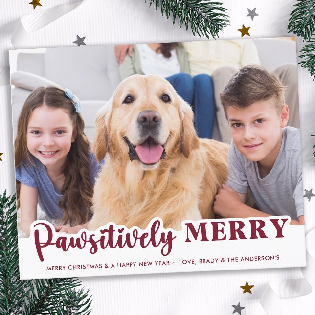 Budget Pet Photo Pawsitively Merry Holiday Card (Creator Uploaded)