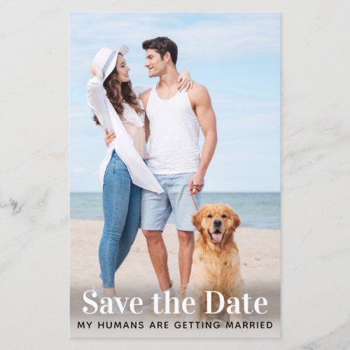 Budget Pet Photo Wedding Dog Save The Date Cards
