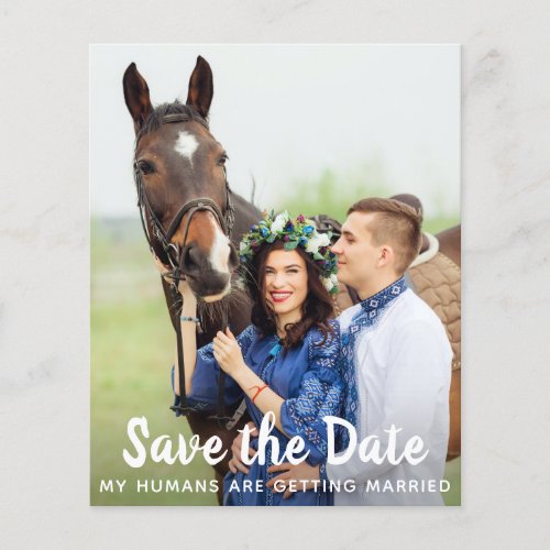 Budget Photo Horse Wedding Save The Date      