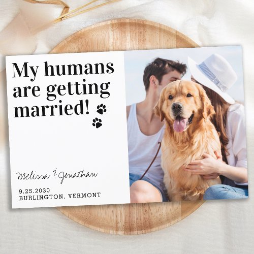 Budget Photo Wedding Pet Dog Save The Date Cards