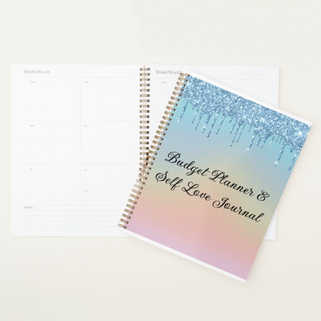 Budget Planner (Display)