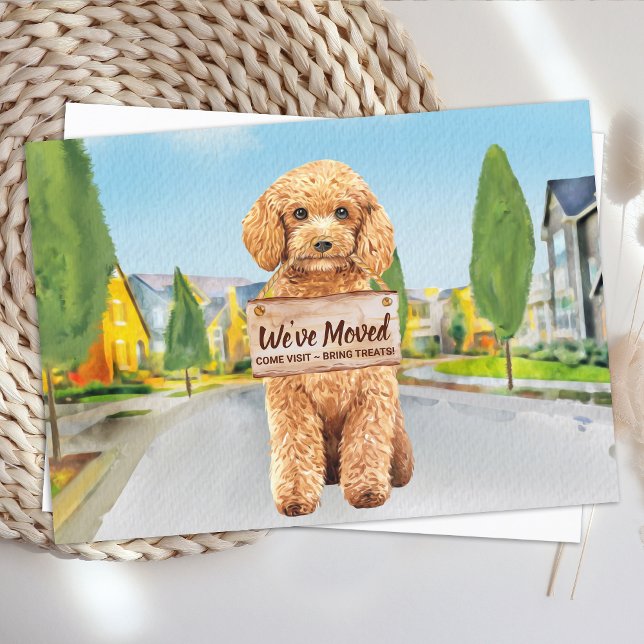 Budget Poodle We've Moved New Address Dog Moving (Creator Uploaded)