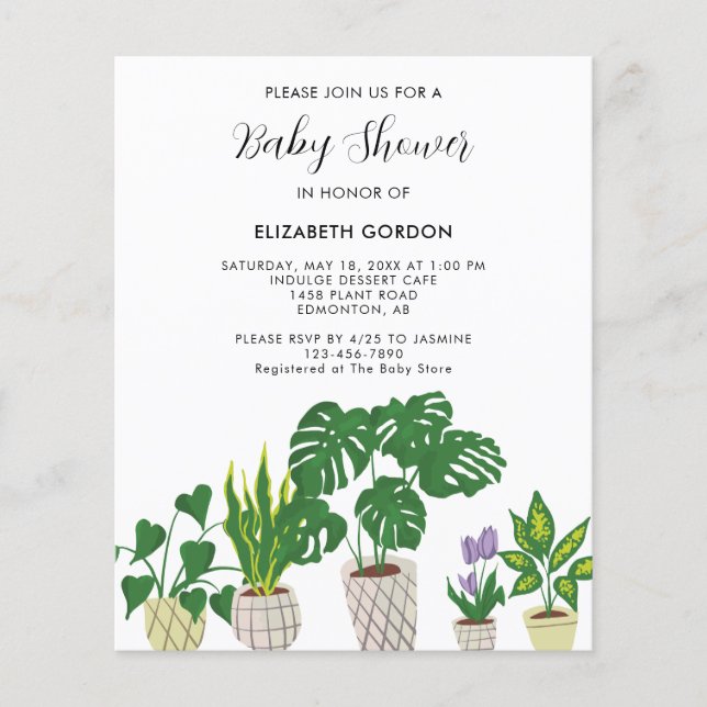 Budget Potted Plants Baby Shower Bloom Invitation (Front)