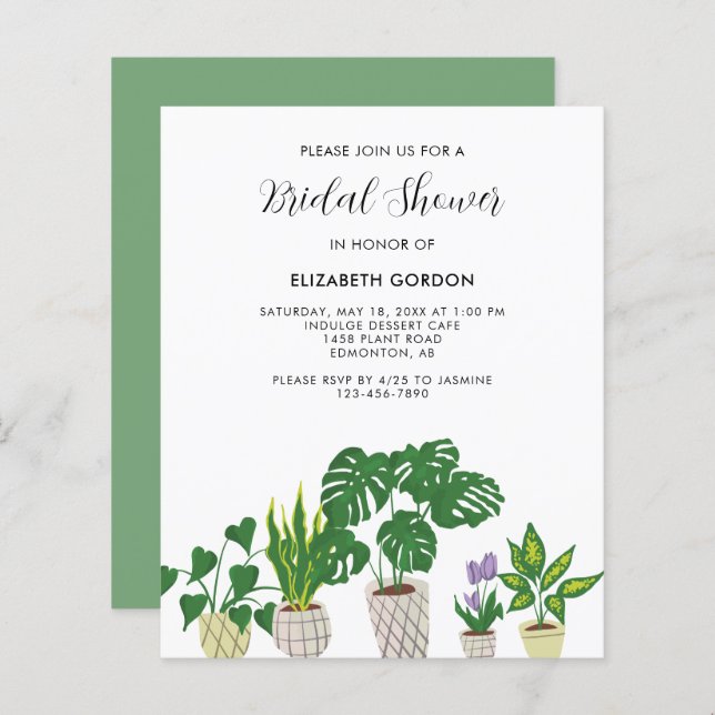 Budget Potted Plants Bridal Shower Greenery  (Front/Back)