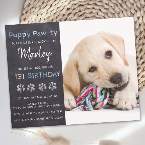 Budget Puppy Pawty Chalkboard Blue Dog Birthday
