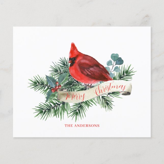 Budget Red Cardinal Christmas Card  Flyer (Front)